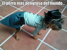 Haga click para ver la imagen ampliada cuidado con el perro.jpg